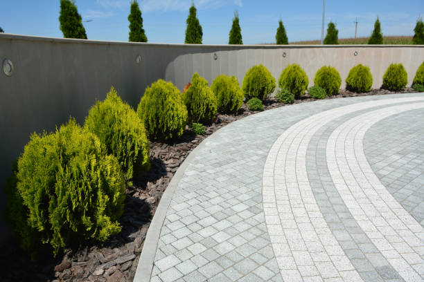 Best Custom Driveway Pavers  in Dubach, LA